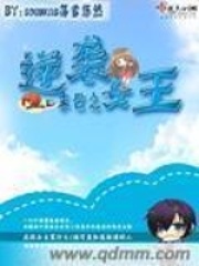 末世之逆袭女王在线阅读