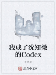 我成了沈知微的Codex在线阅读