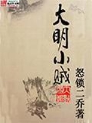 大明小贼在线阅读