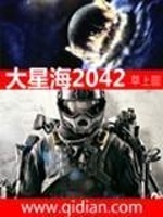 大星海2042封面