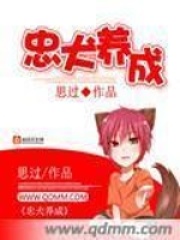 忠犬养成在线阅读