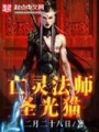 亡灵法师圣光猫在线阅读