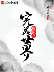 虚拟之完美世界