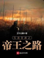 位面穿越之帝王之路在线阅读