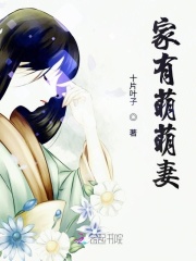 家有萌萌妻在线阅读