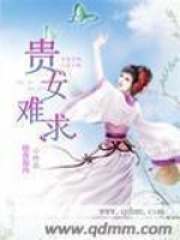 贵女难求在线阅读
