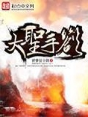 大圣手札在线阅读