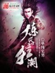 炼器狂潮在线阅读