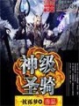 神级圣骑在线阅读