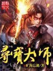 寻宝大师在线阅读