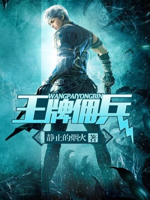 王牌佣兵封面