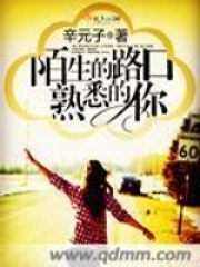 陌生的路口熟悉的你在线阅读