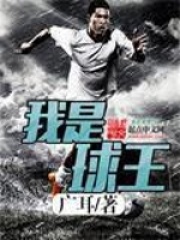 我是球王在线阅读