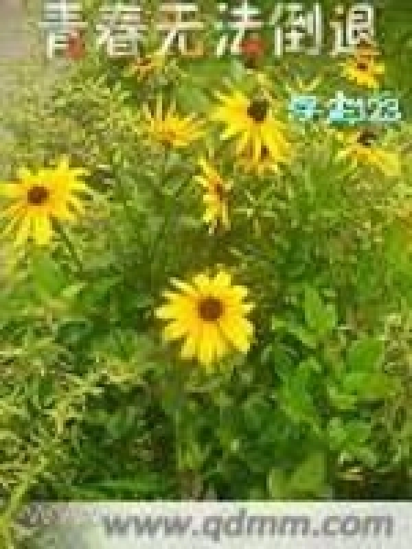 青春无法倒退