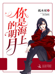你是海上的明月在线阅读