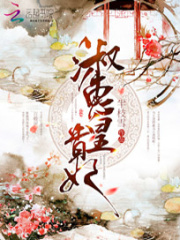 淑惠皇贵妃在线阅读