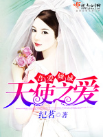 吾爱倾城：天使之爱在线阅读