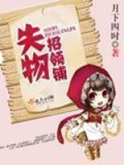 失物招领铺在线阅读