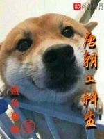 唐朝工科生封面