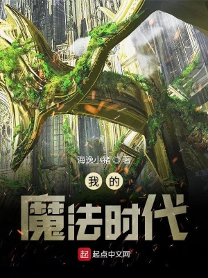 《我的魔法时代》（校对版全本）作者：海逸小猪【TXT】