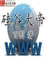 硅谷大帝在线阅读