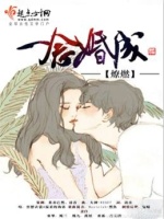 一念婚成在线阅读