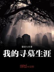 我的寻墓生涯在线阅读