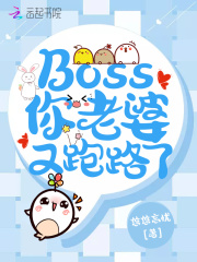 Boss你老婆又跑路了在线阅读
