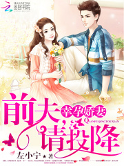 幸孕娇妻：前夫，请投降在线阅读