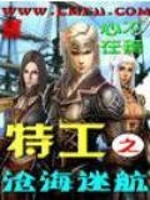 特工之沧海迷航封面