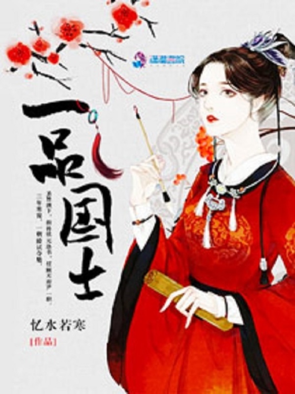 一品国士小说封面