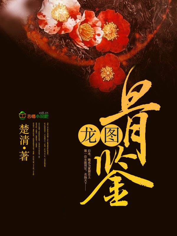 龙图骨鉴小说封面