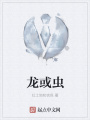 龙或虫