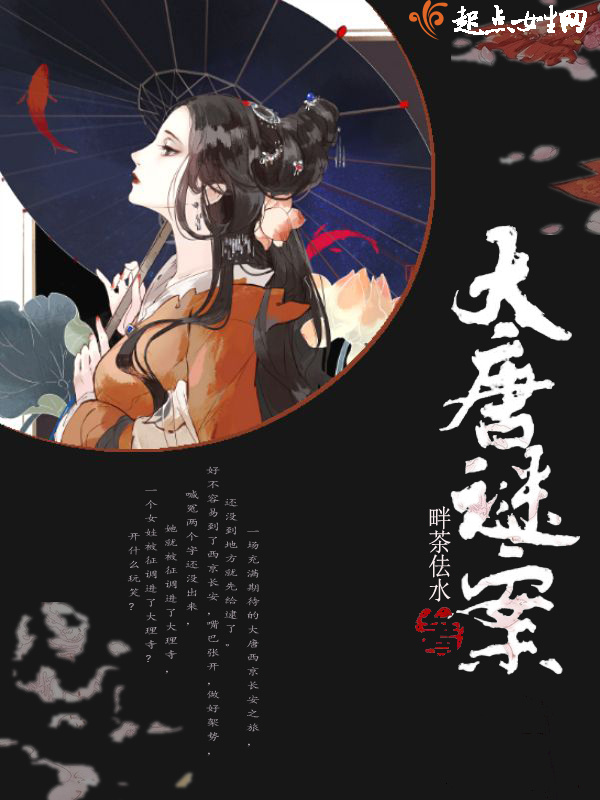 大唐谜案小说封面