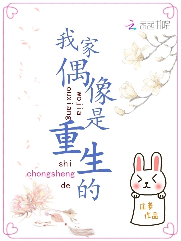 我家偶像是重生的小说封面