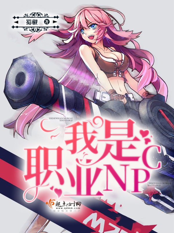 我是职业NPC小说封面
