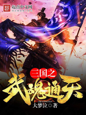 《三国之武魂通天》封面