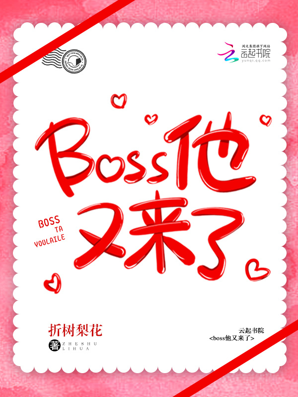 boss他又来了小说封面