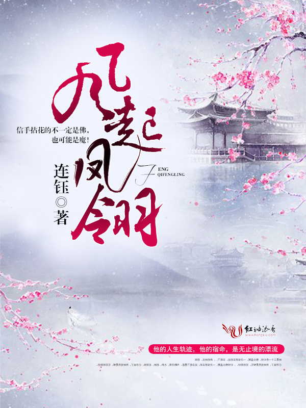风起凤翎小说封面