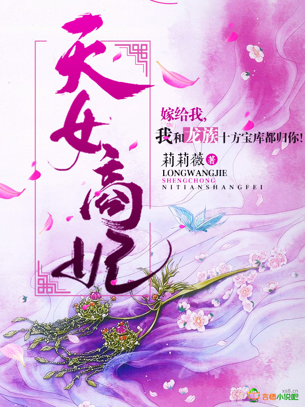 天女商妃小说封面