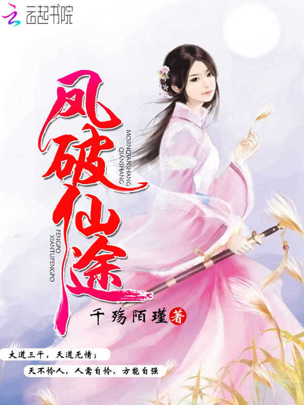 凤破仙途小说封面