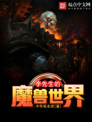 《李先生的魔兽世界》封面