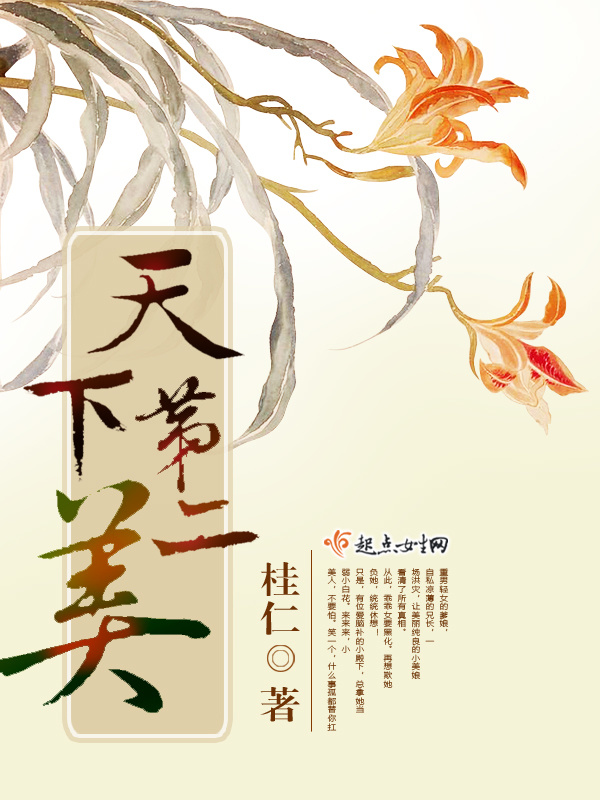 天下第二美小说封面