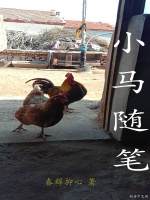 小马随笔