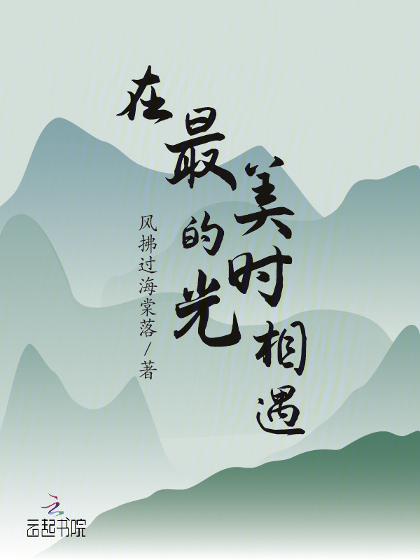 在最美的时光相遇小说封面