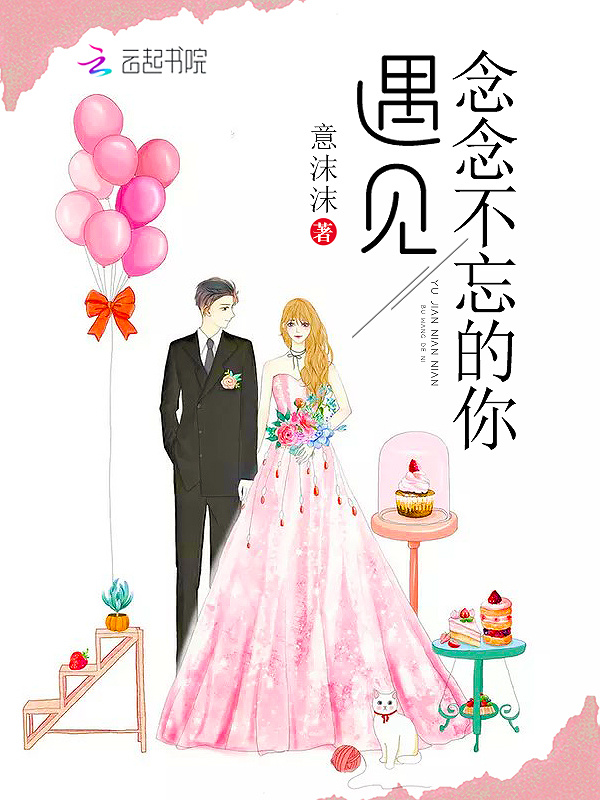 遇见念念不忘的你小说封面