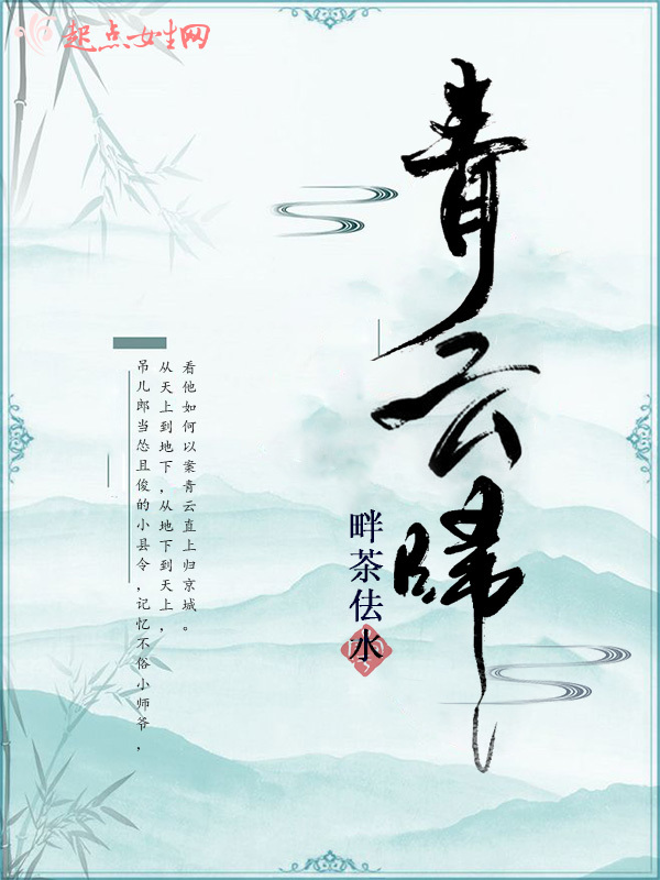 青云归小说封面