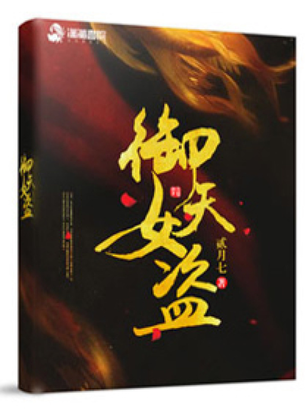 御天女盗小说封面