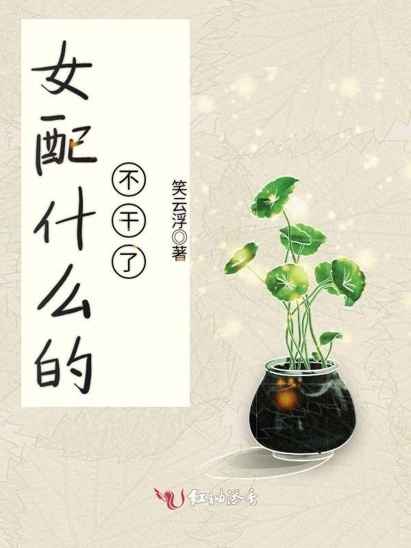 女配什么的不干了小说封面