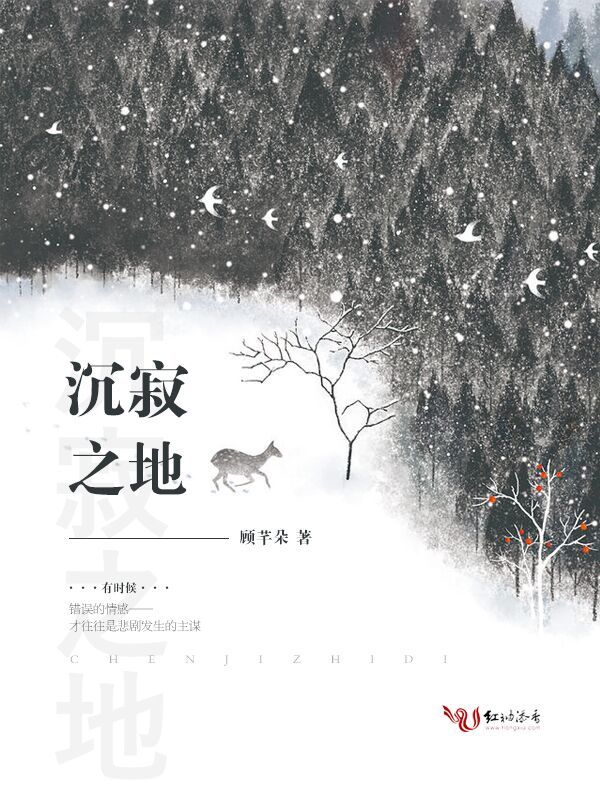 沉寂之地小说封面
